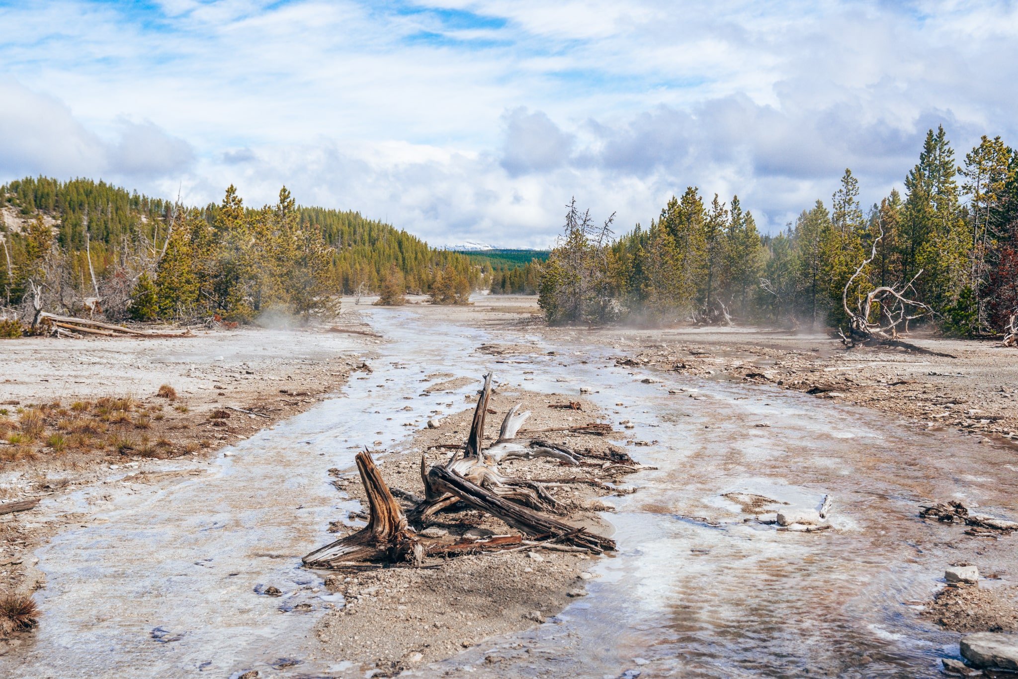 18 Easy Hikes in Yellowstone National Park