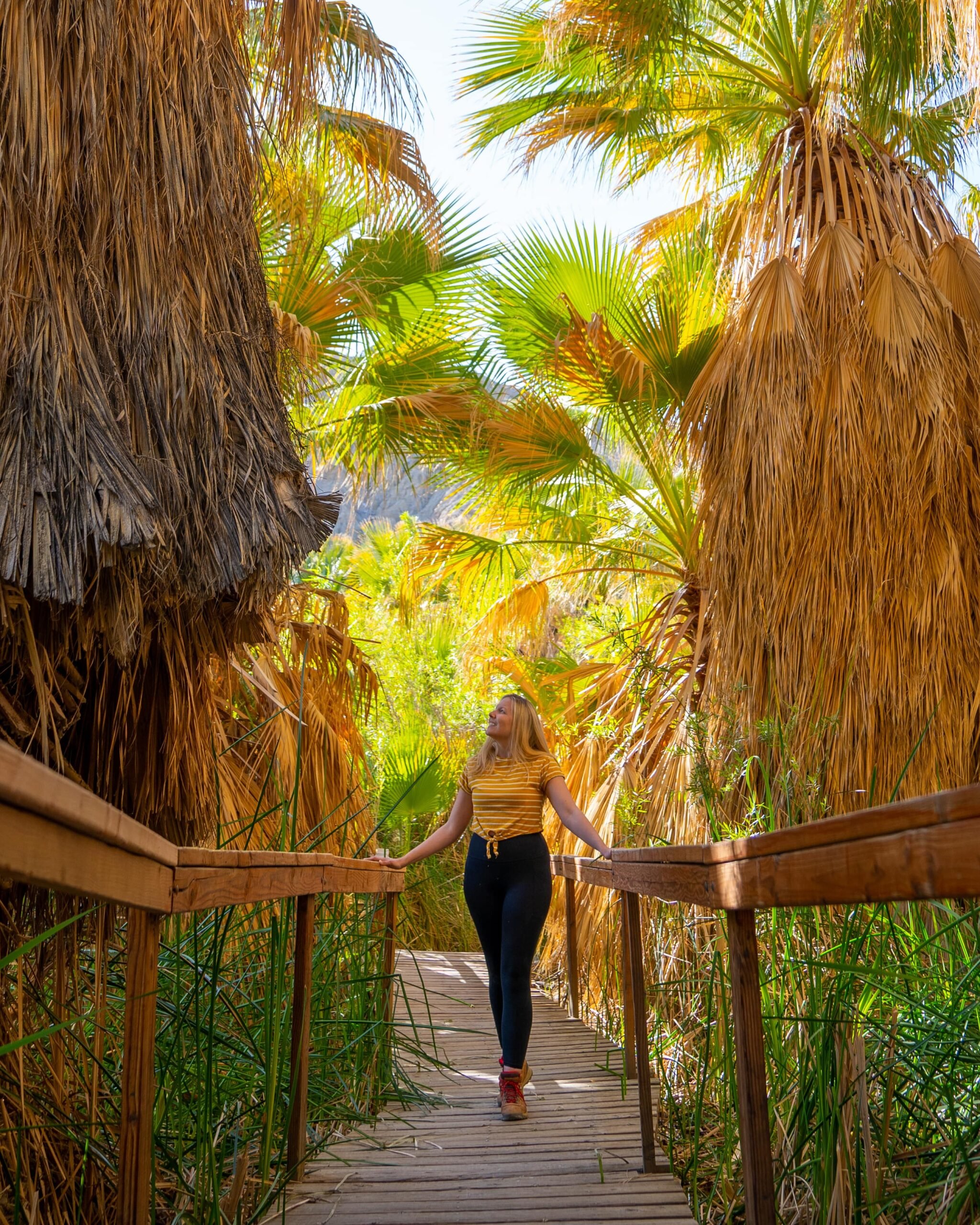 A person in a yellow striped shirt walks on a wooden path through a lush area with tall palm trees and greenery, exploring one of the most captivating destinations. Sunlight filters through the leaves, creating a vibrant, tropical atmosphere.