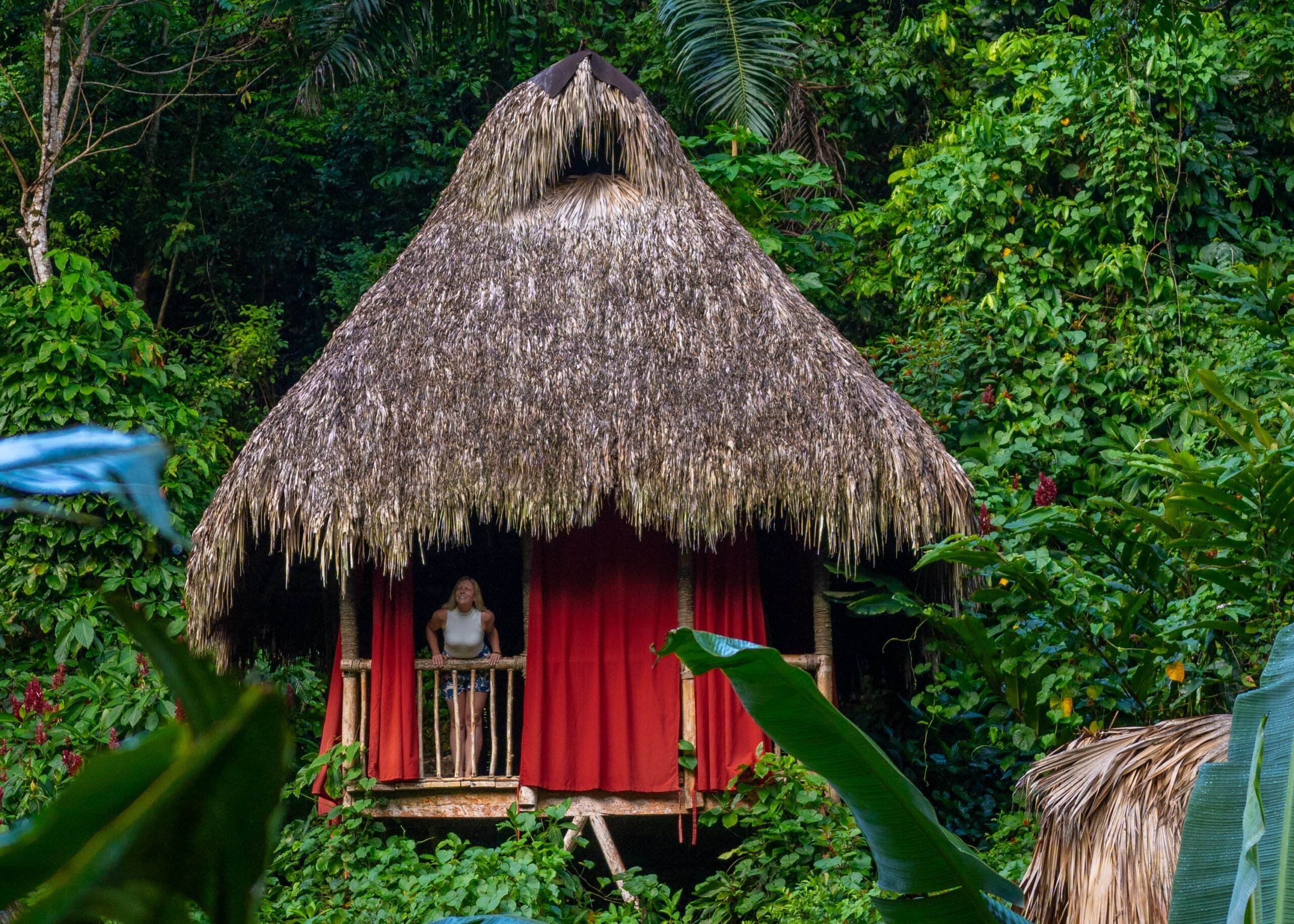 A thatched-roof hut with red curtains is nestled in lush green jungle foliage at Dominican Tree House Village Resort. A person stands on the balcony, taking in the vibrant tropical scenery—an unforgettable review-worthy experience.